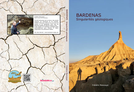 G�ologie Bardenas.