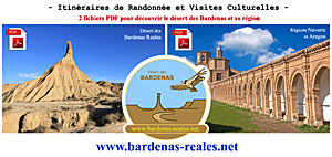 Logo PDF Bardenas