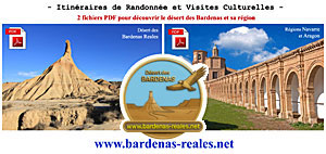 Logo PDF Bardenas