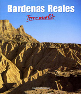 Dsert des Bardenas Reales, terre insolite