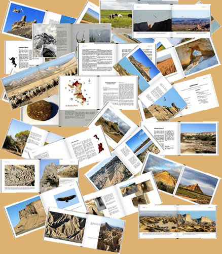 Paginas fotografias Bardenas.