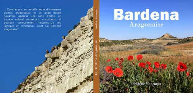 Le livre Bardena aragon.