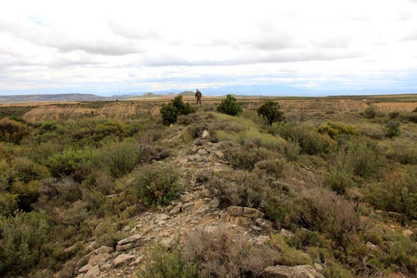 Le mur de pierres.