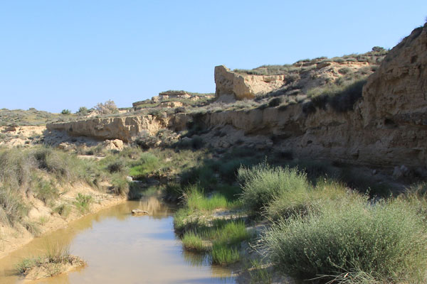 Ravin isolé dans les Bardenas.