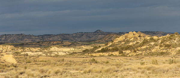 Bardena Blanca Alta