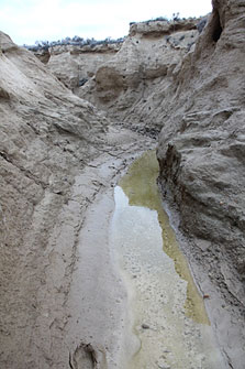 Le barranco de la source.